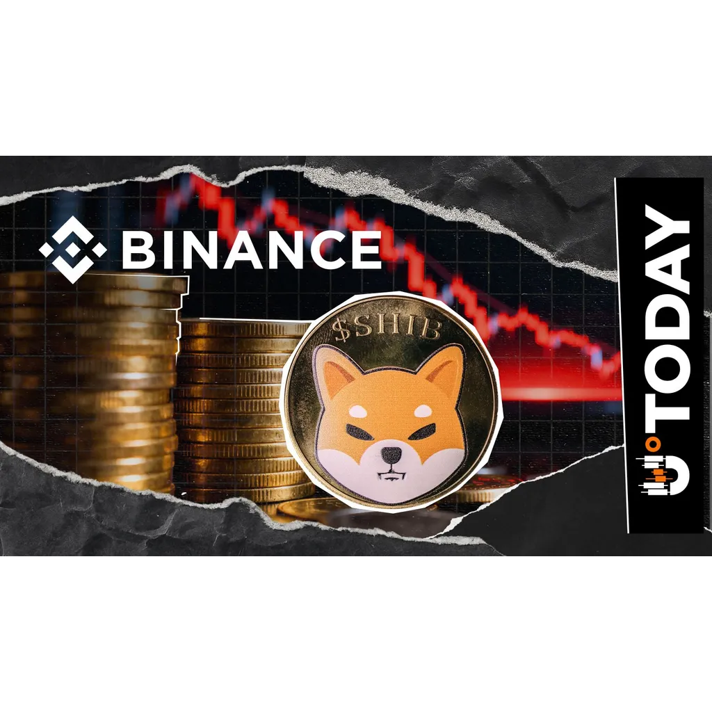 733 Billion SHIB Outflow: Binance’s Shiba Inu Stockpile Dips 1.38% While Holding Massive 52.5 Trillion in Total Reserves 733 Billion SHIB Outflow: Binance’s Shiba Inu Stockpile Dips 1.38% While Holding Massive 52.5 Trillion in Total Reserves
