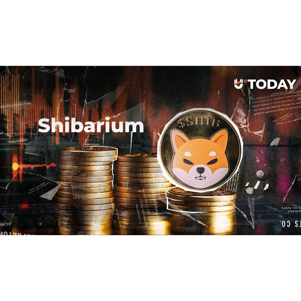 Shibarium network activity drops 54 percent overnight amid downturn Shibarium network activity drops 54 percent overnight amid downturn