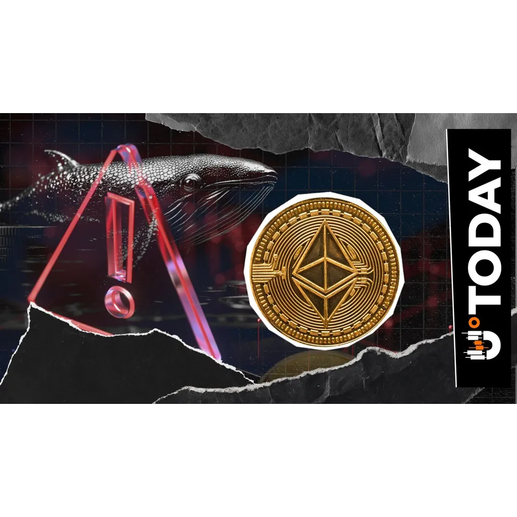 Scam Alert: Ethereum Whales Lose Millions to Copy-Paste Error Scam Alert: Ethereum Whales Lose Millions to Copy-Paste Error