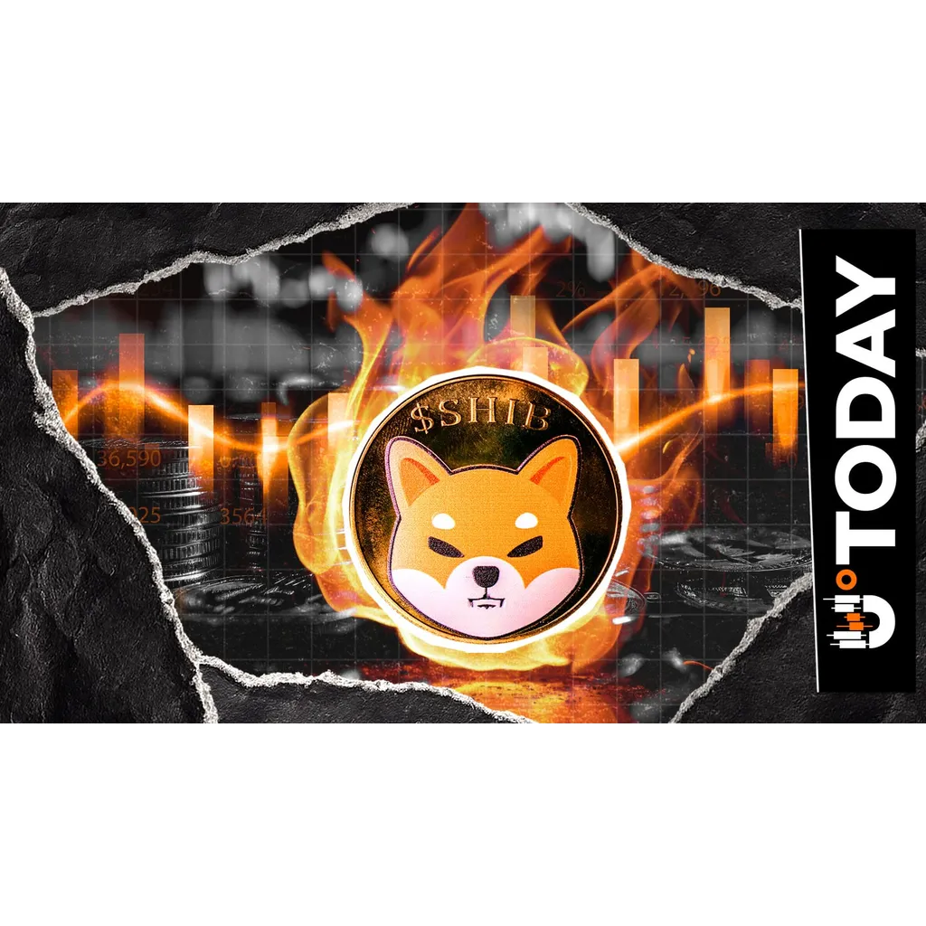 Shiba Inu Burn Explodes 3,620%, But Something Is Missing Shiba Inu Burn Explodes 3,620%, But Something Is Missing