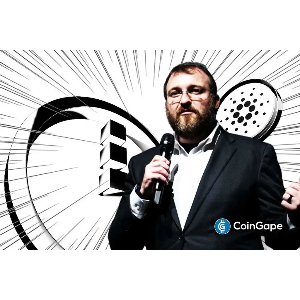 Midnight airdrop timing and early alerts Midnight airdrop timing and early alerts