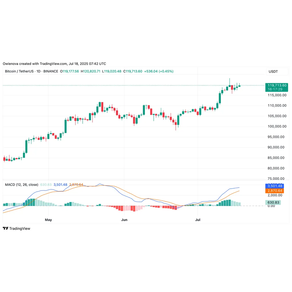 Bitcoin Goes Mainstream With Massive Accumulations From Public Firms – Here’s How Many | Bitcoinist.com Bitcoin Goes Mainstream With Massive Accumulations From Public Firms – Here’s How Many | Bitcoinist.com