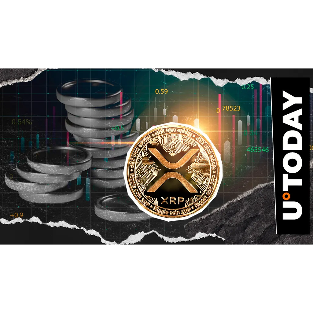 XRP holders advised to prepare for upcoming developments XRP holders advised to prepare for upcoming developments