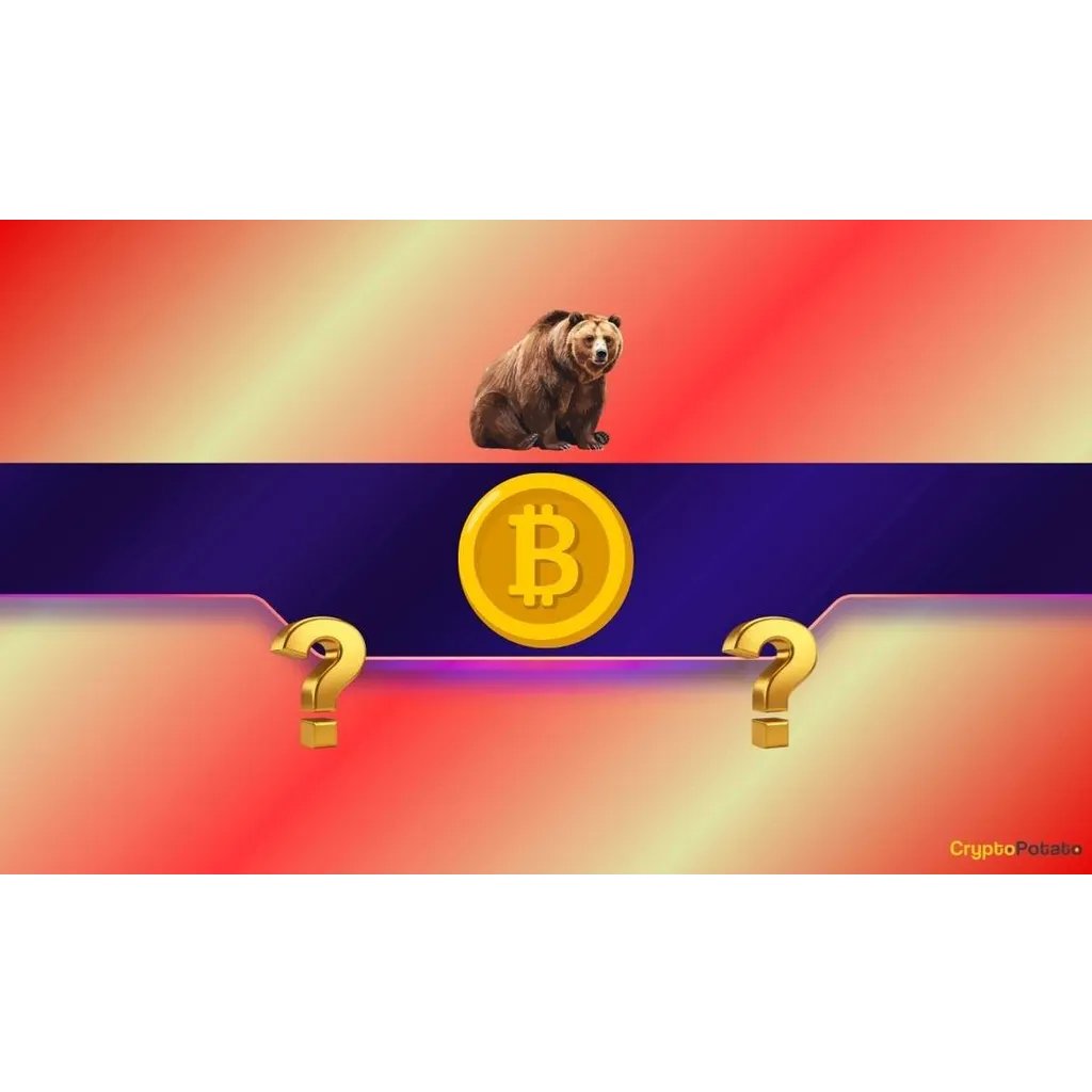 Is Bitcoin Really in a Bear Market and Where Is the Bottom? Is Bitcoin Really in a Bear Market and Where Is the Bottom?