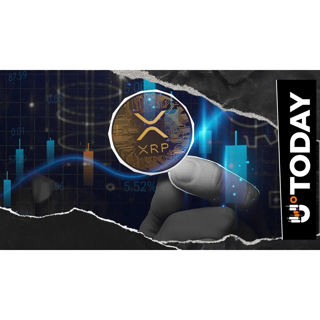 +83% in XRP Futures Balance Is Important Easy-to-Miss Signal +83% in XRP Futures Balance Is Important Easy-to-Miss Signal
