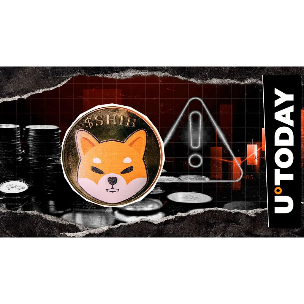 450 million DOGE moved on Binance during Dogecoin price recovery 450 million DOGE moved on Binance during Dogecoin price recovery
