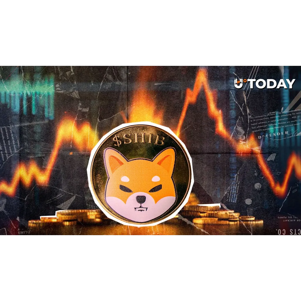 46,597,909 SHIB burned is reported as a useless action for now 46,597,909 SHIB burned is reported as a useless action for now