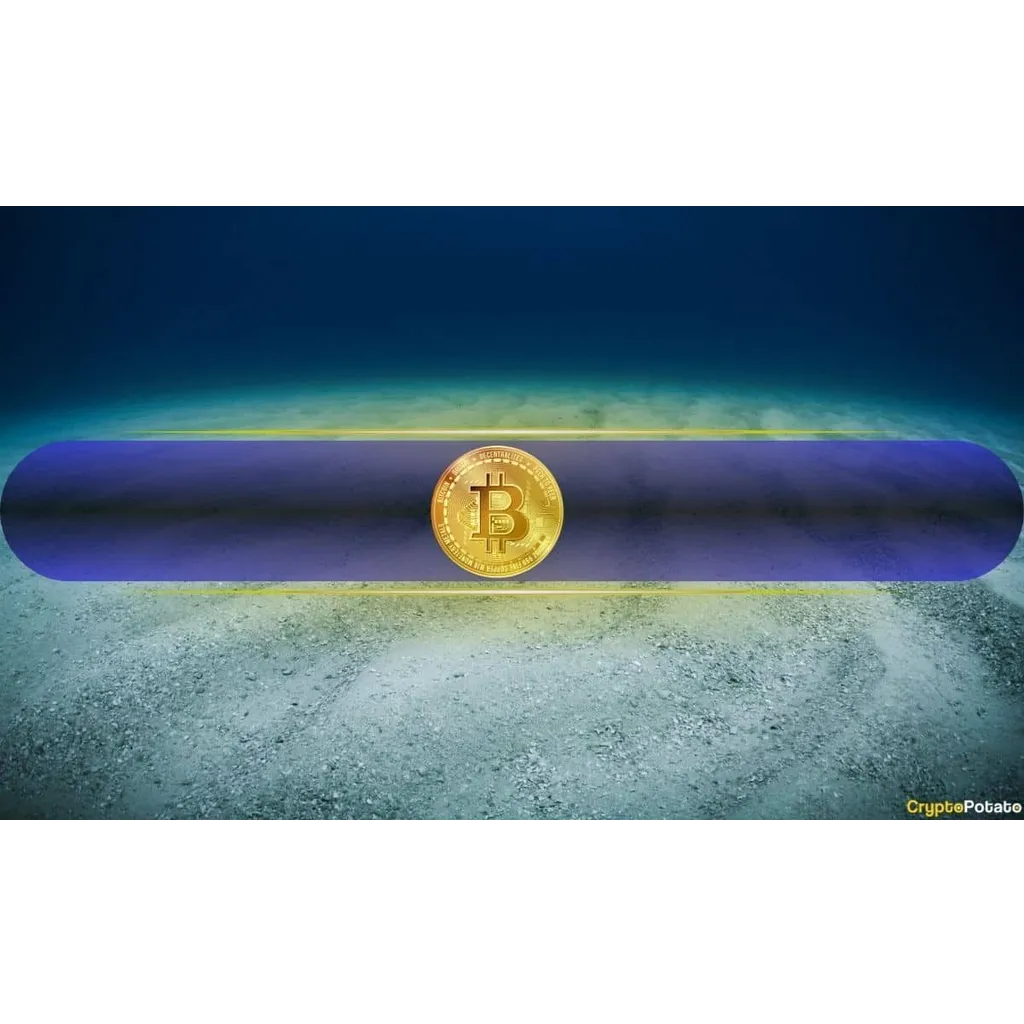 Analysts Assess Whether Bitcoin Has Reached Its Market Bottom Analysts Assess Whether Bitcoin Has Reached Its Market Bottom