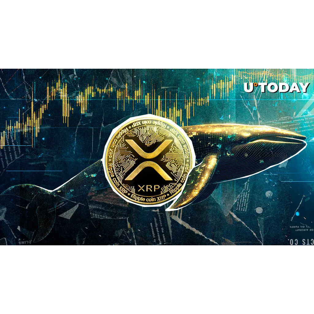 Whale’s .5M XRP Liquidation Twist Whale’s .5M XRP Liquidation Twist