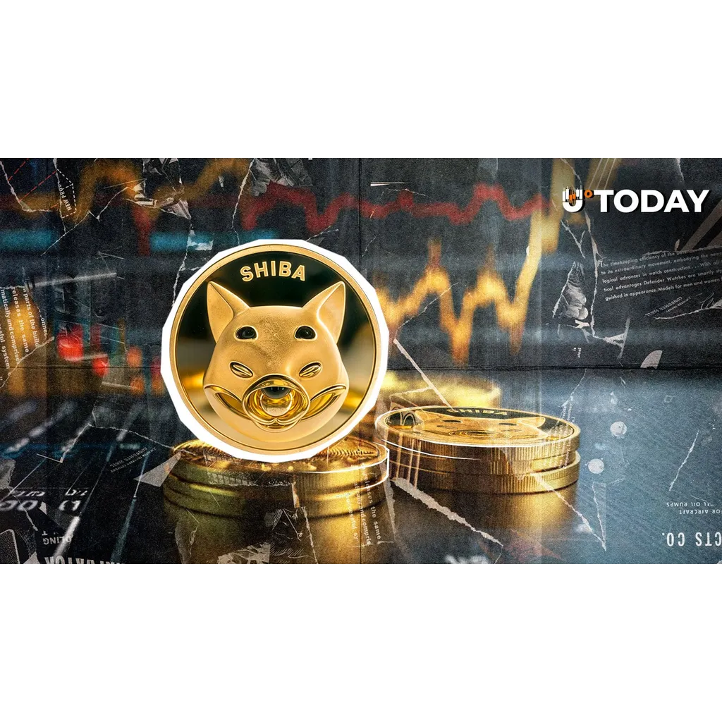 Shiba Inu token outflow confirms bullish market outlook according to data Shiba Inu token outflow confirms bullish market outlook according to data