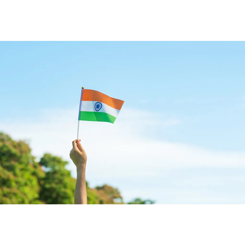 India Plans Rupee-Backed ARC Digital Asset Launch in 2026 to Rival Dollar Stablecoins India Plans Rupee-Backed ARC Digital Asset Launch in 2026 to Rival Dollar Stablecoins