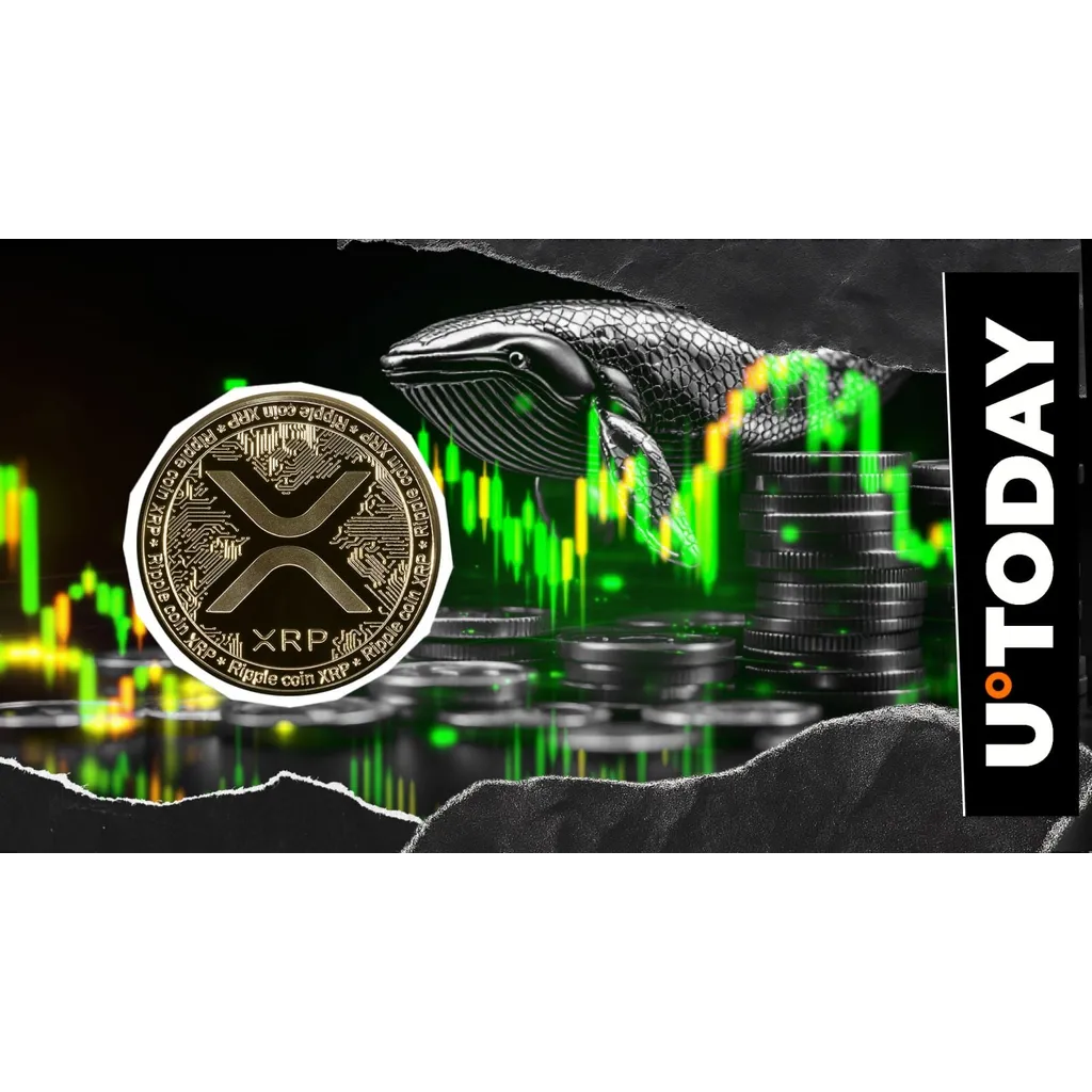 Whales move 1.3 billion XRP in eight hours of transactions Whales move 1.3 billion XRP in eight hours of transactions