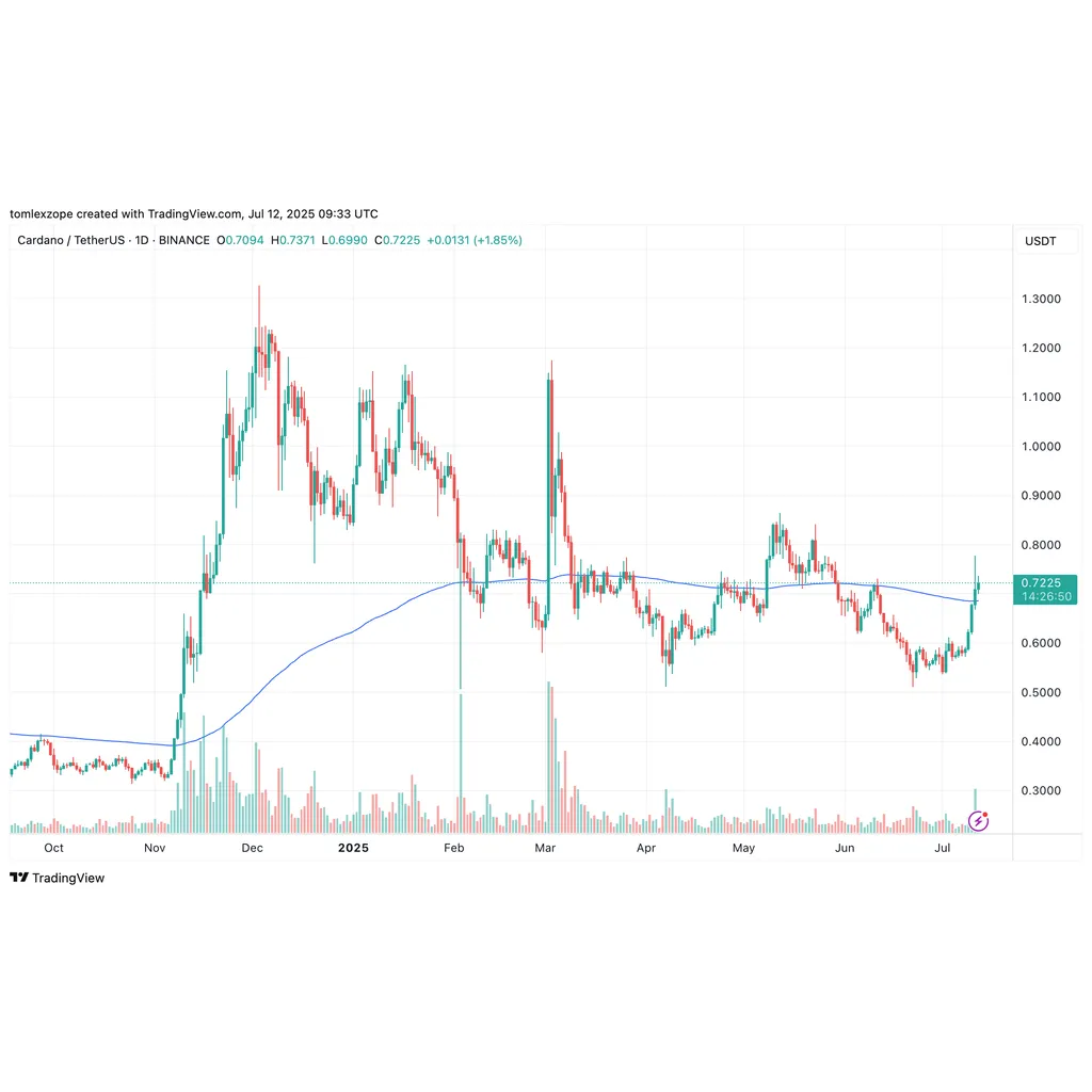 Cardano Price Explodes 30% In Past Week — Analyst Calls Next Market Top Cardano Price Explodes 30% In Past Week — Analyst Calls Next Market Top