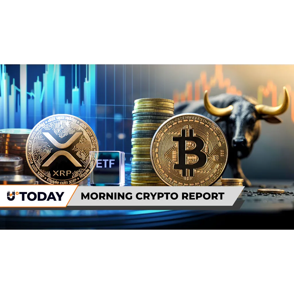 Crypto Report Speculates on Dogecoin SHIB Rally and XRP Price Amid Bitcoin Movement Crypto Report Speculates on Dogecoin SHIB Rally and XRP Price Amid Bitcoin Movement