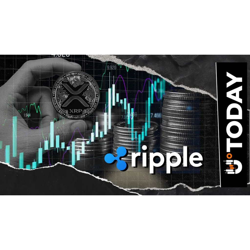 Ripple issues new warning to XRP holders to stay vigilant Ripple issues new warning to XRP holders to stay vigilant