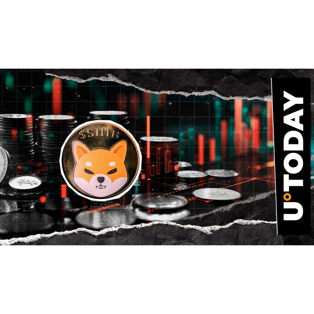 Shiba Inu liquidity decreases as 142 billion tokens leave exchanges Shiba Inu liquidity decreases as 142 billion tokens leave exchanges