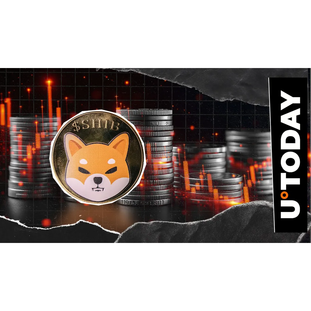 Shiba Inu open interest declines by 15.66 trillion SHIB in 24 hours Shiba Inu open interest declines by 15.66 trillion SHIB in 24 hours