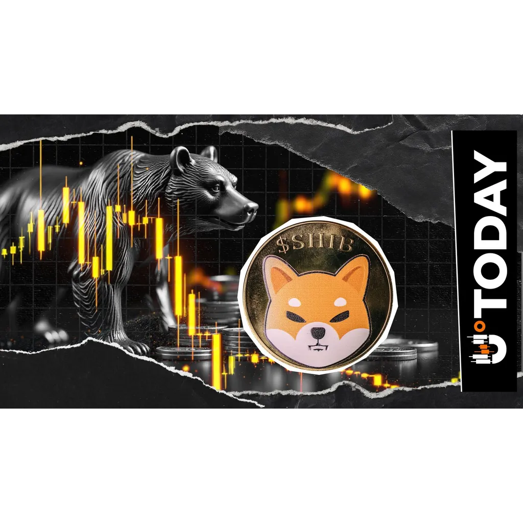 Shiba Inu Bears Activated as Netflow Tops 350 Billion SHIB Shiba Inu Bears Activated as Netflow Tops 350 Billion SHIB