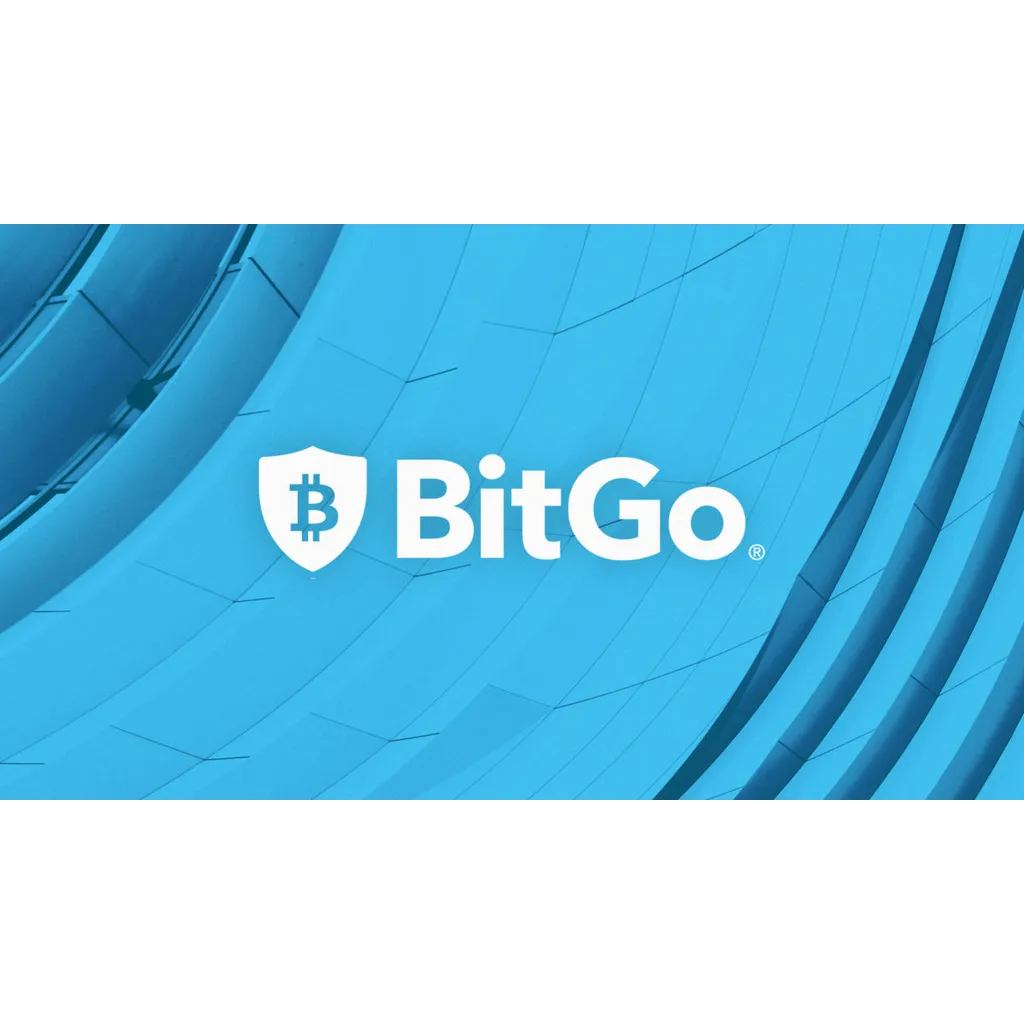 BitGo Holdings (BTGO) IPO: Strong Open, Fast Reality Check BitGo Holdings (BTGO) IPO: Strong Open, Fast Reality Check