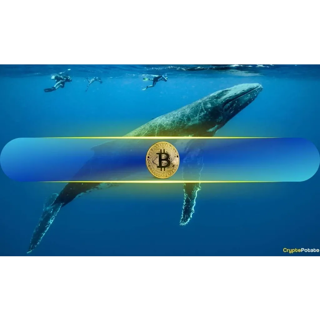 Bitcoin Whales Grab 68% of Supply Bitcoin Whales Grab 68% of Supply