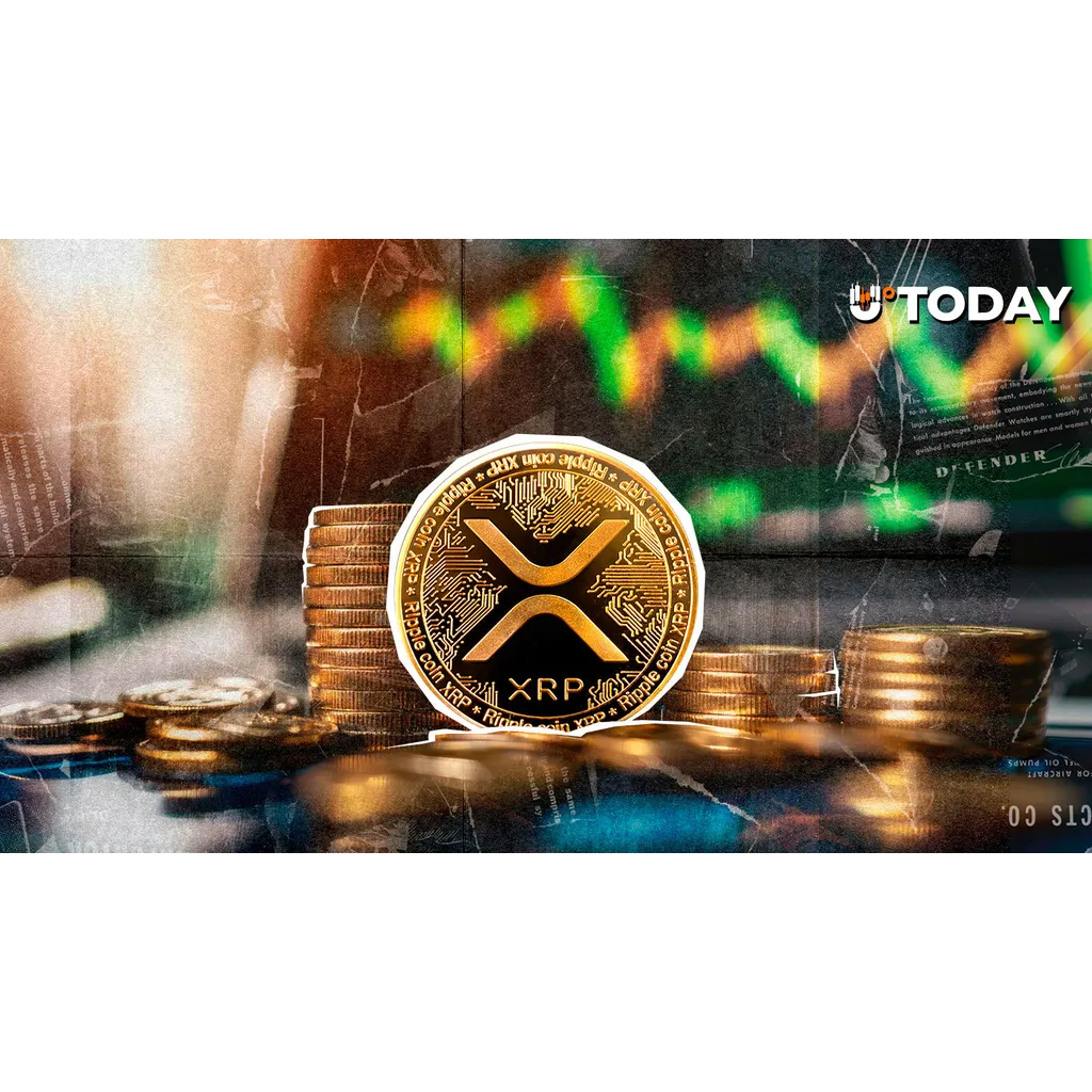 XRP Rockets 508% in Yearly Capital Allocation, With Germany and US Leading XRP Rockets 508% in Yearly Capital Allocation, With Germany and US Leading