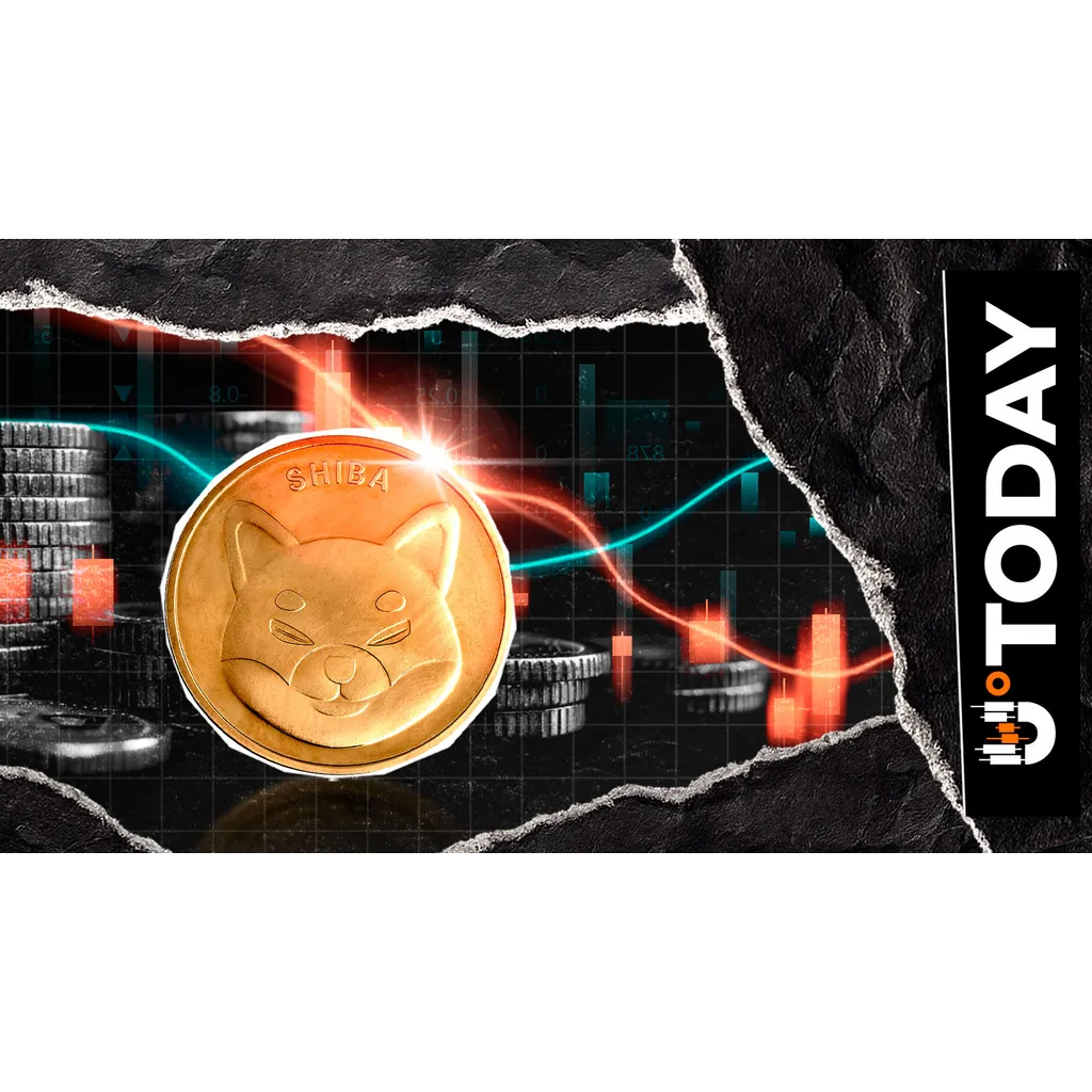 Shiba Inu on-chain metrics hit zero according to data analysis Shiba Inu on-chain metrics hit zero according to data analysis
