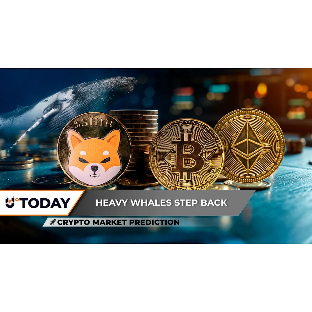 Crypto Market Prediction: Will Shiba Inu (SHIB) Crash Ever End? Ethereum (ETH) Already Sniffing ,000; Bitcoin (BTC) Price Expodes in Unexpected Volume Spike Crypto Market Prediction: Will Shiba Inu (SHIB) Crash Ever End? Ethereum (ETH) Already Sniffing ,000; Bitcoin (BTC) Price Expodes in Unexpected Volume Spike