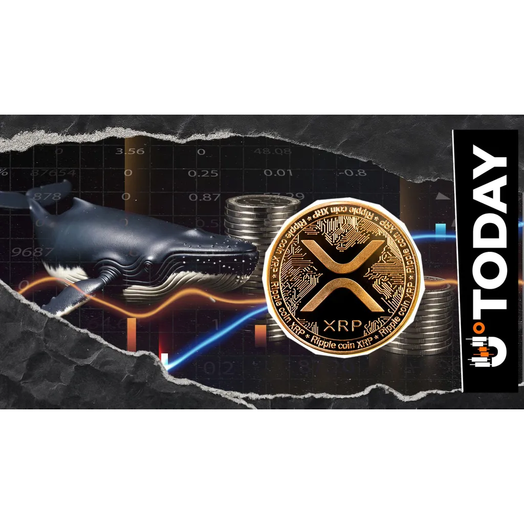 190 Million XRP Purchased by Whales in Past Week Amid Price Fall 190 Million XRP Purchased by Whales in Past Week Amid Price Fall