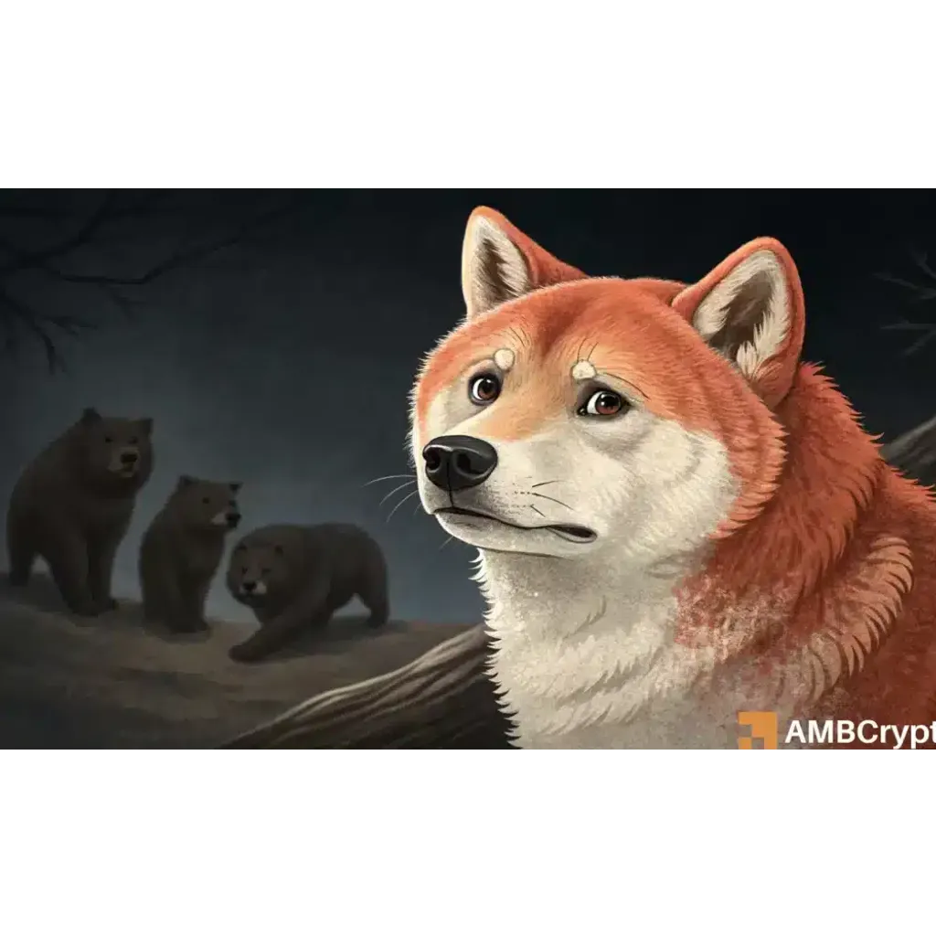 Shiba Inu price prediction identifies risky buying opportunity for traders Shiba Inu price prediction identifies risky buying opportunity for traders