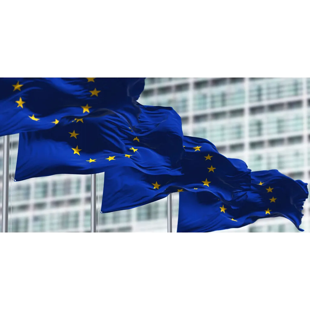 European Banking Authority warns of risks during transitional period European Banking Authority warns of risks during transitional period