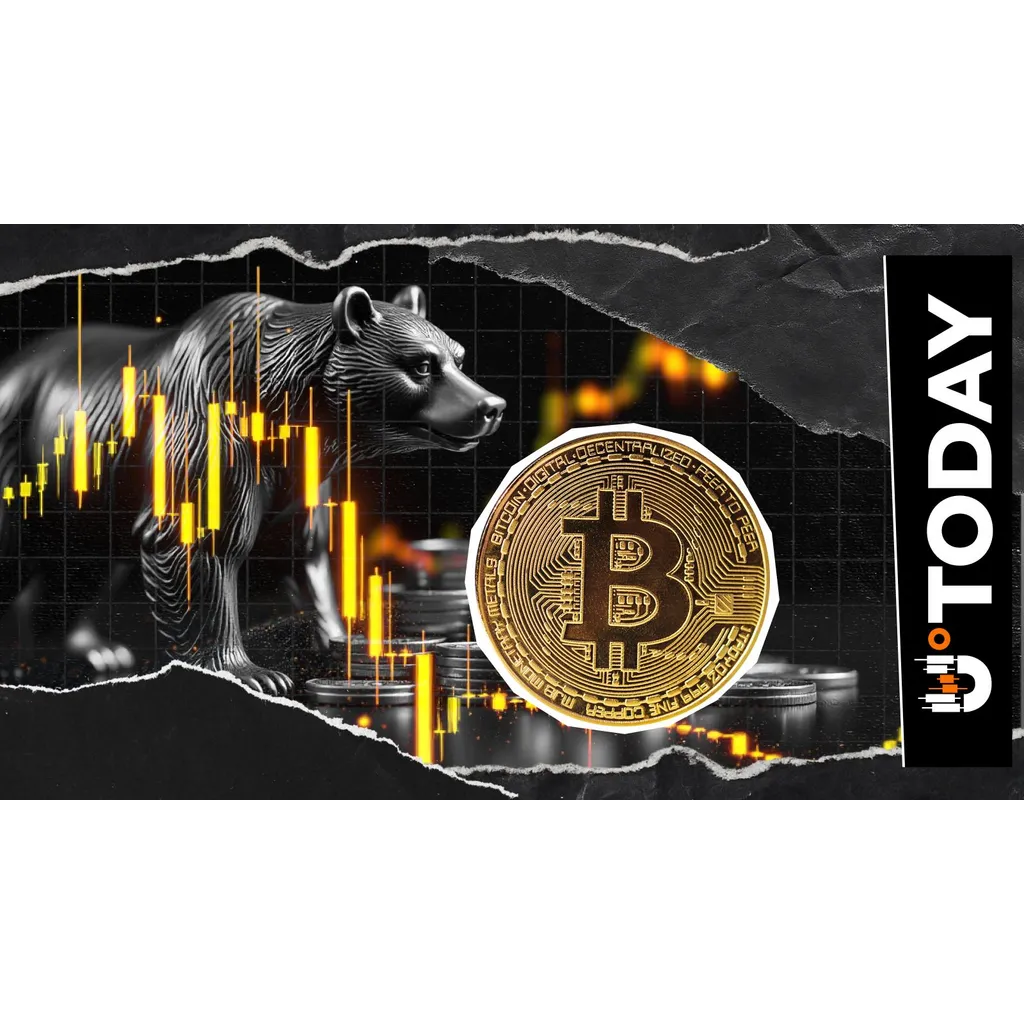 Two Key Reasons Bitcoin Enters Bear Markets: Wall Street Veteran Two Key Reasons Bitcoin Enters Bear Markets: Wall Street Veteran