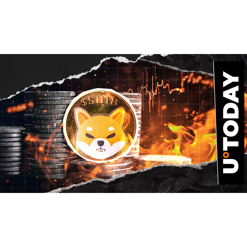Shiba Inu burn rate rises 449.66 percent erasing 71 million tokens Shiba Inu burn rate rises 449.66 percent erasing 71 million tokens