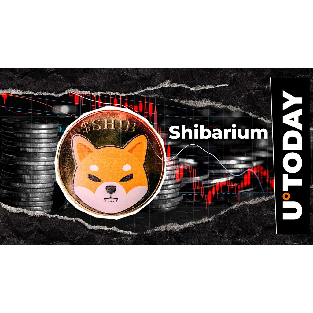 Shibarium transactions decline 99 percent amid Uptober uncertainty Shibarium transactions decline 99 percent amid Uptober uncertainty