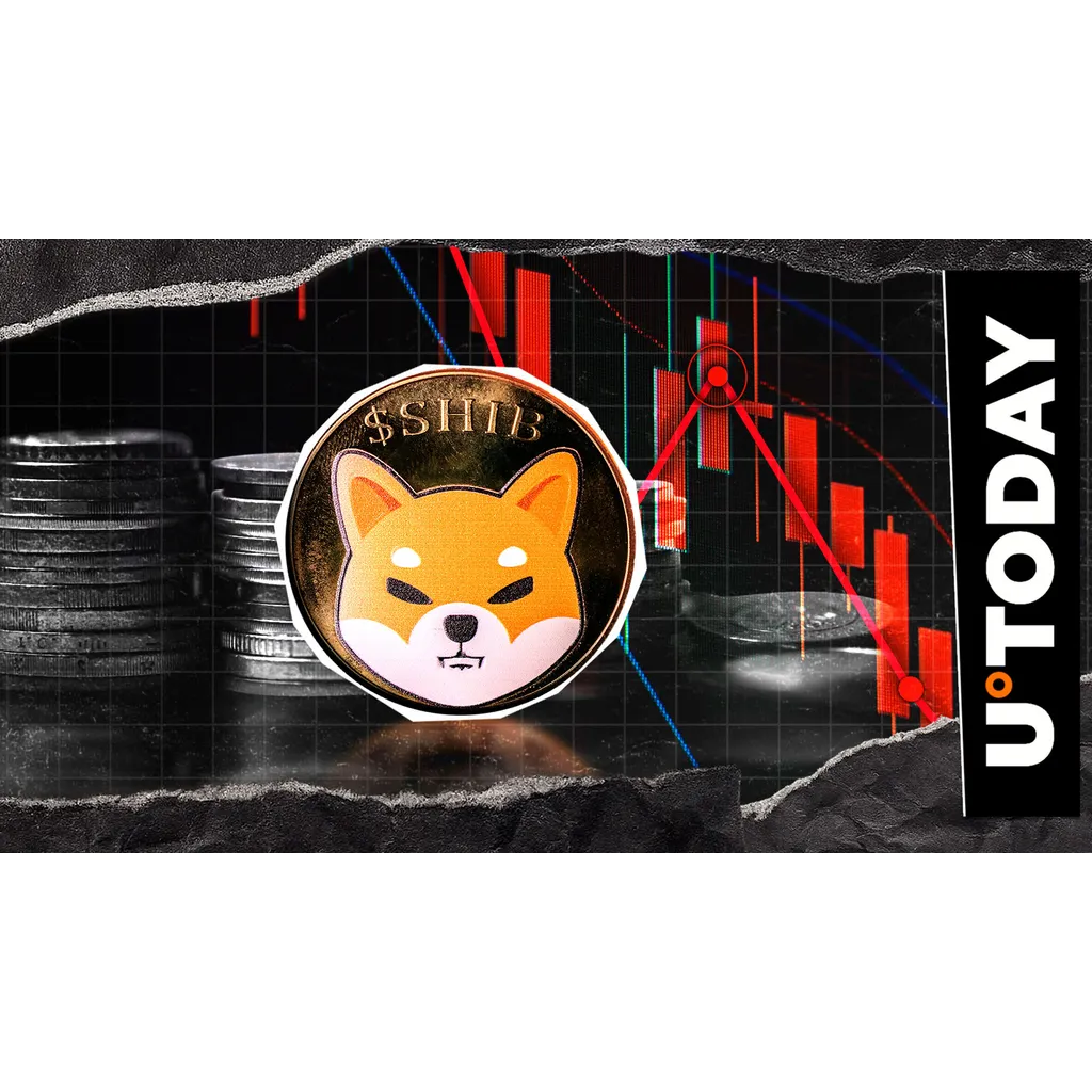 Shiba Inu major death cross appears again according to report Shiba Inu major death cross appears again according to report