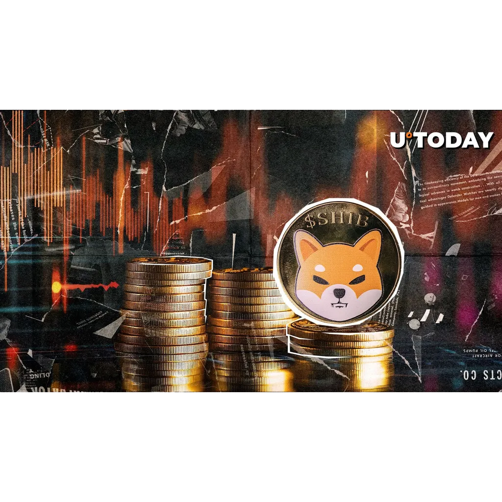 Biggest Crypto Loss This Summer Biggest Crypto Loss This Summer