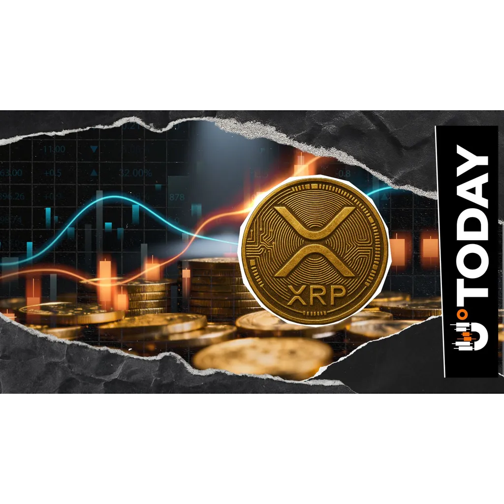 XRP Liquidation Imbalance up 537% as Crypto Market Loses 5 Million XRP Liquidation Imbalance up 537% as Crypto Market Loses 5 Million