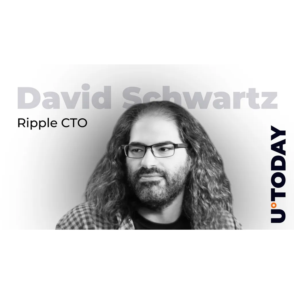 Ripple Veteran Slams DeFi Bridge Security Ripple Veteran Slams DeFi Bridge Security