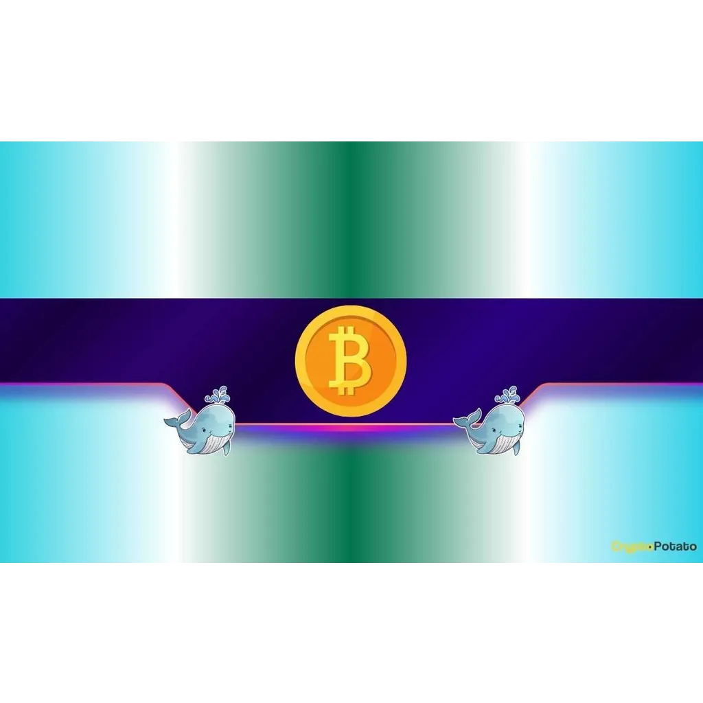 Bitcoin and Ethereum face potential volatility as whale transactions increase Bitcoin and Ethereum face potential volatility as whale transactions increase