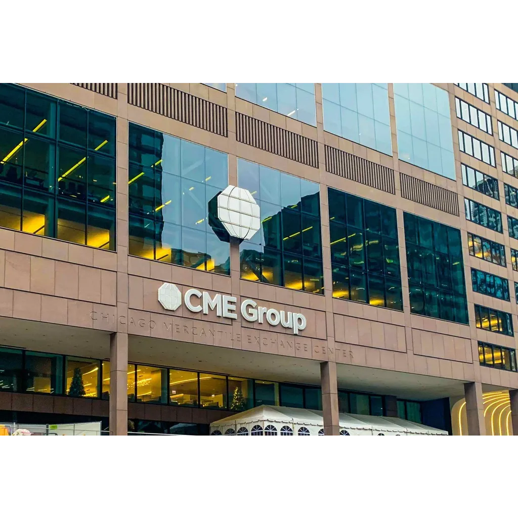 Meme Coins Not Happening at CME Meme Coins Not Happening at CME