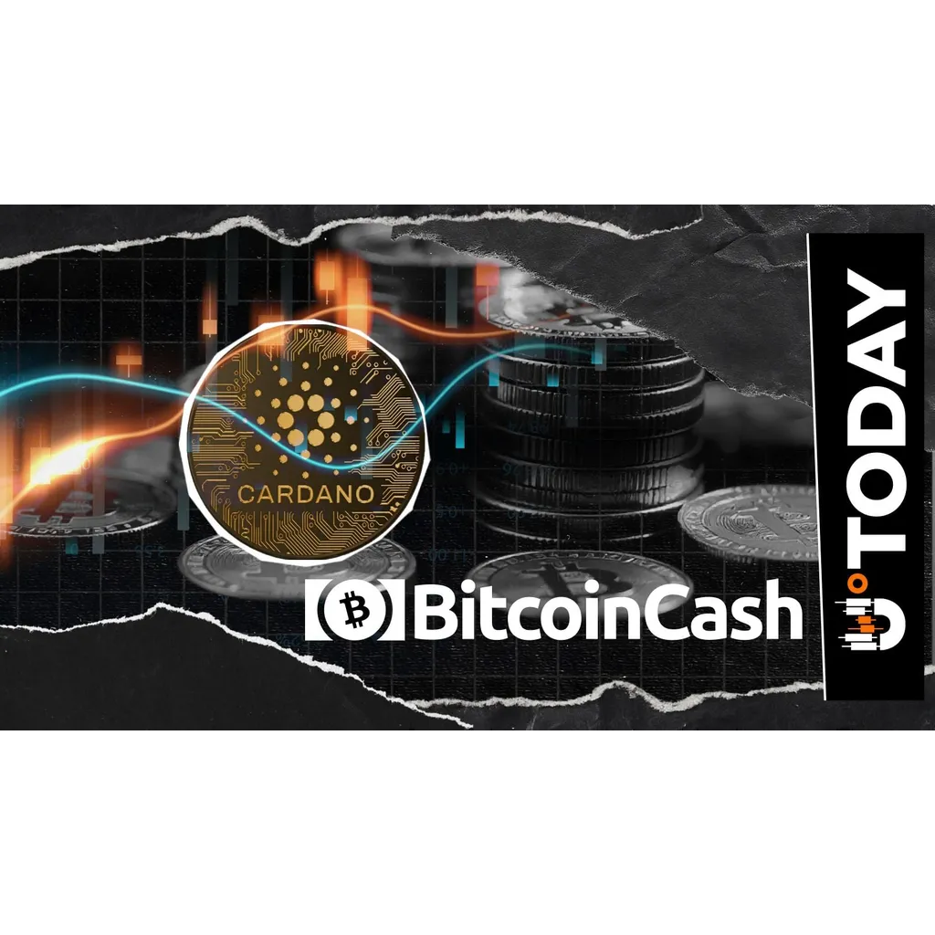 Cardano vs. Bitcoin Cash: Ultimate Dominance Fight Is On Cardano vs. Bitcoin Cash: Ultimate Dominance Fight Is On