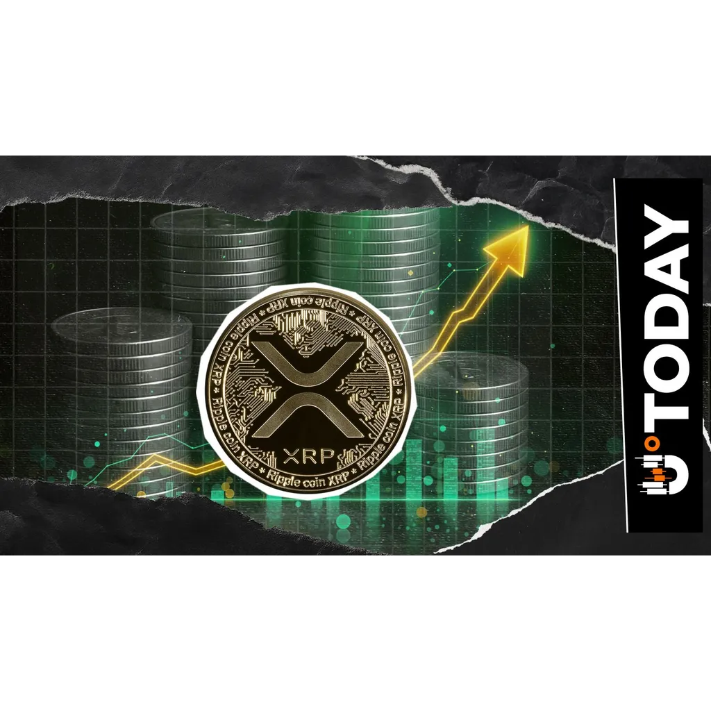 844,000,000 Million XRP in 24 Hours: Enormous Surge Brings Hope 844,000,000 Million XRP in 24 Hours: Enormous Surge Brings Hope