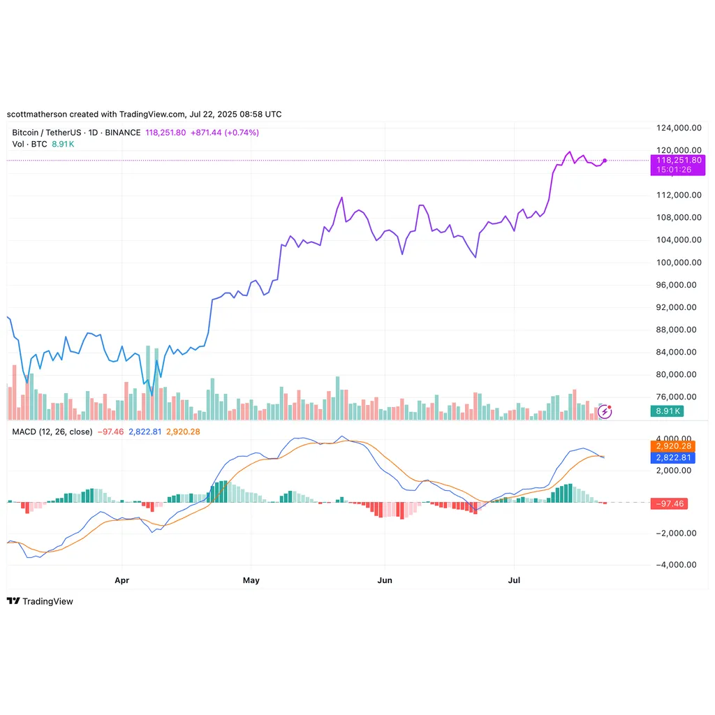 Analyst Drops ‘Realistic’ Price Predictions For Bitcoin, Ethereum, LINK, BNB, And Aptos Analyst Drops ‘Realistic’ Price Predictions For Bitcoin, Ethereum, LINK, BNB, And Aptos