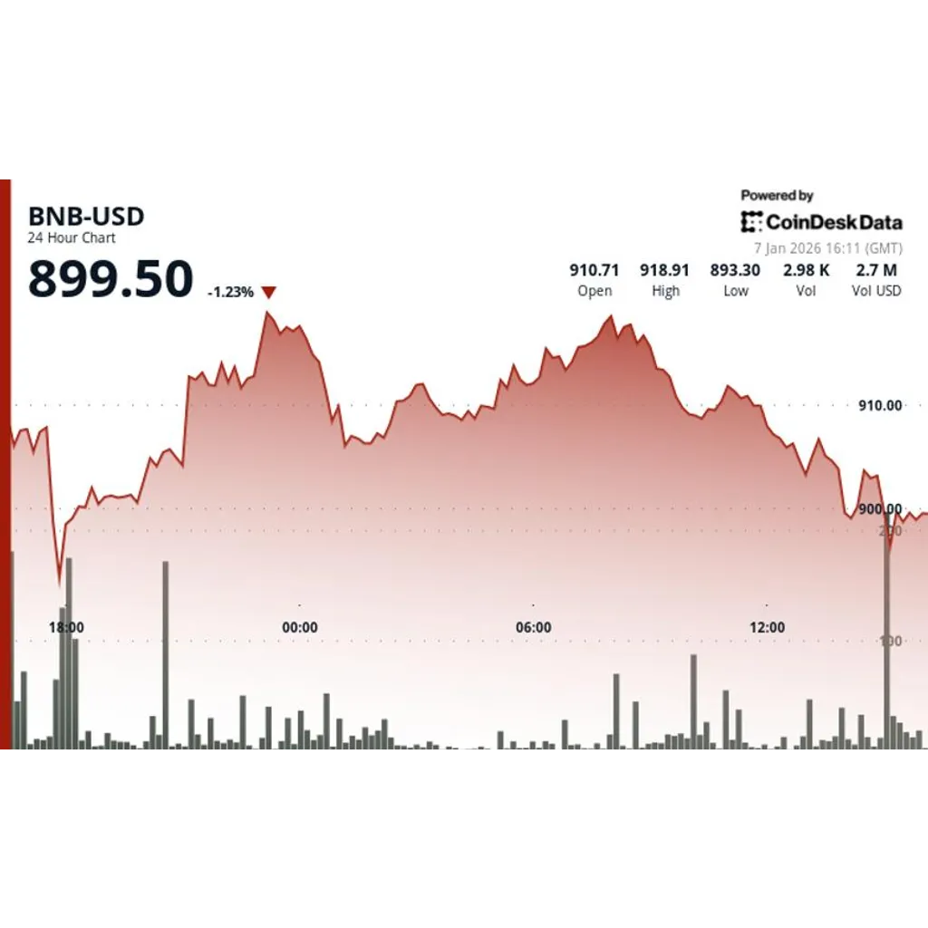 BNB falls below 0 even after network upgrade, ecosystem developments as market declines BNB falls below 0 even after network upgrade, ecosystem developments as market declines