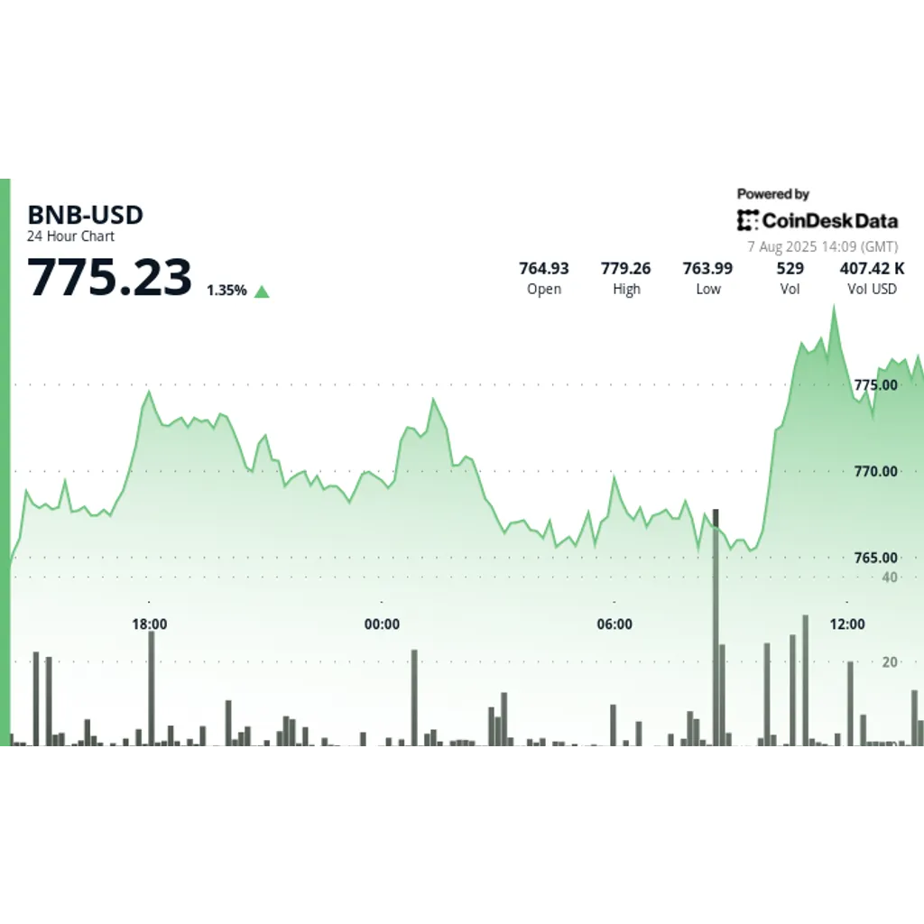 BNB Climbs, Then Drops on Sell Pressure BNB Climbs, Then Drops on Sell Pressure