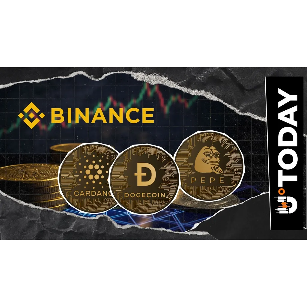 Binance List New Cardano (ADA), Dogecoin (DOGE) Pairs Against New Stablecoin Binance List New Cardano (ADA), Dogecoin (DOGE) Pairs Against New Stablecoin