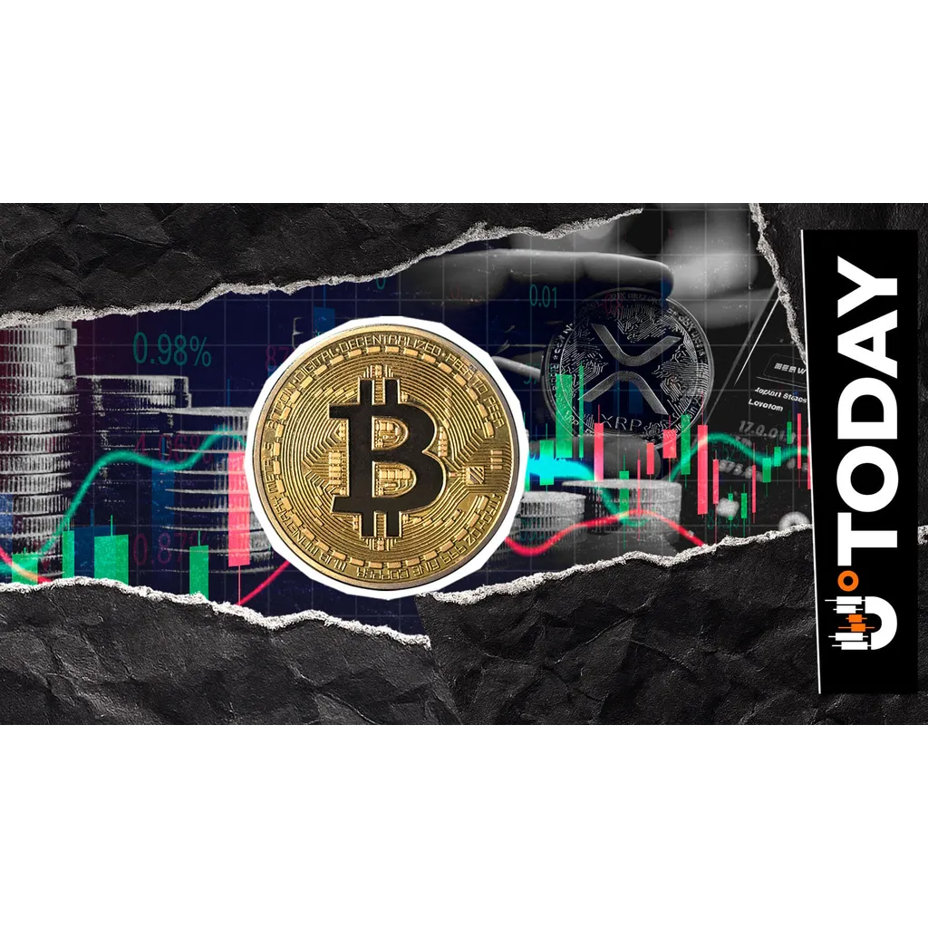 XRP Trader Who Predicted 700% Bull Run Shares Brutal Bitcoin Price Update XRP Trader Who Predicted 700% Bull Run Shares Brutal Bitcoin Price Update