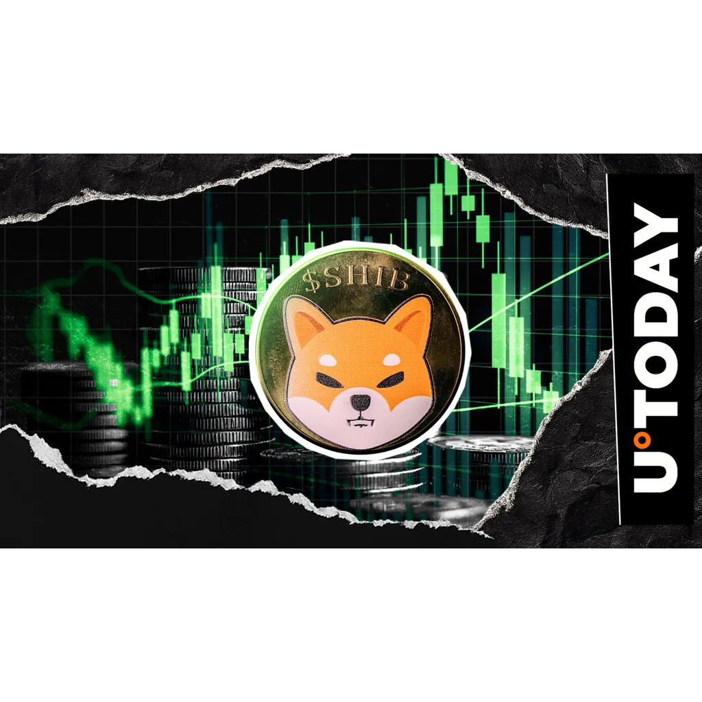 Six Shiba Inu indicators show green signals amid market analysis Six Shiba Inu indicators show green signals amid market analysis