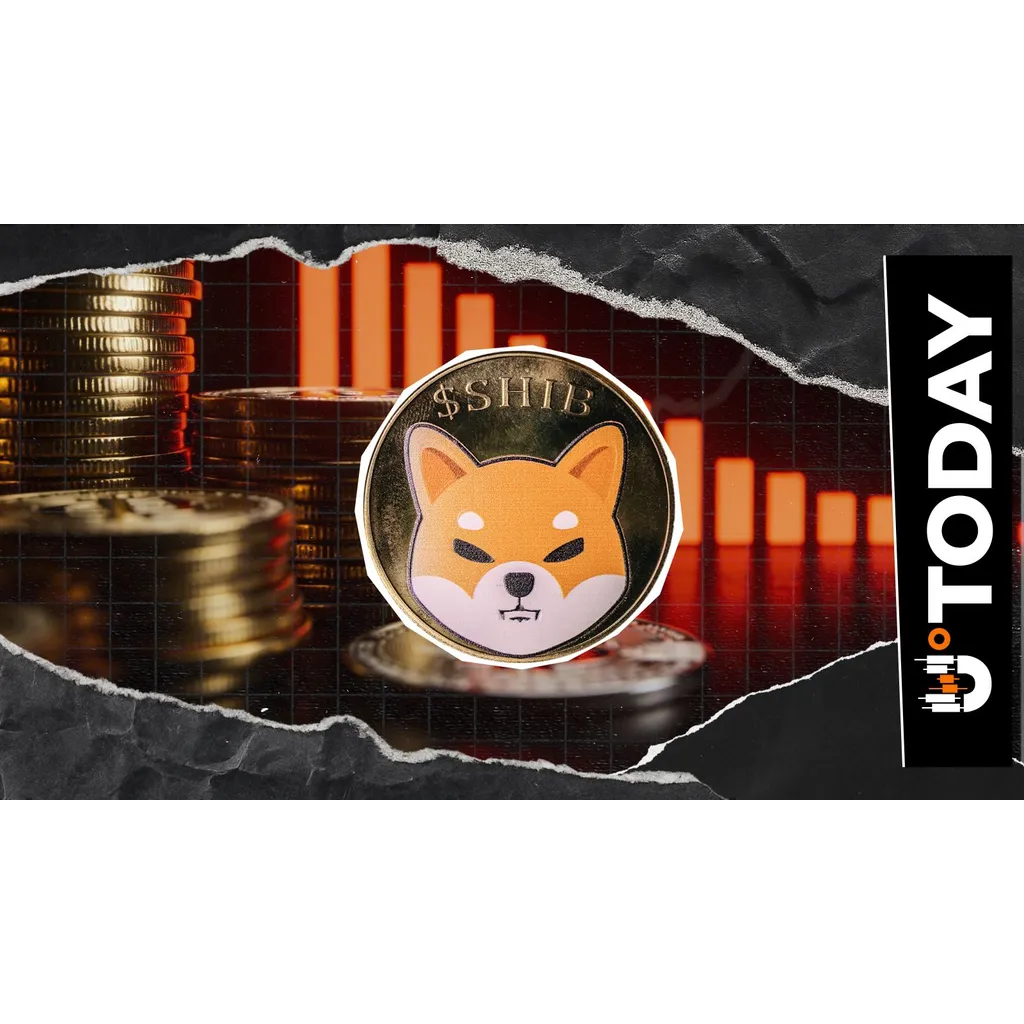 Multi-Year Shiba Inu (SHIB) Bottom Almost Reached: What to Expect After It Multi-Year Shiba Inu (SHIB) Bottom Almost Reached: What to Expect After It