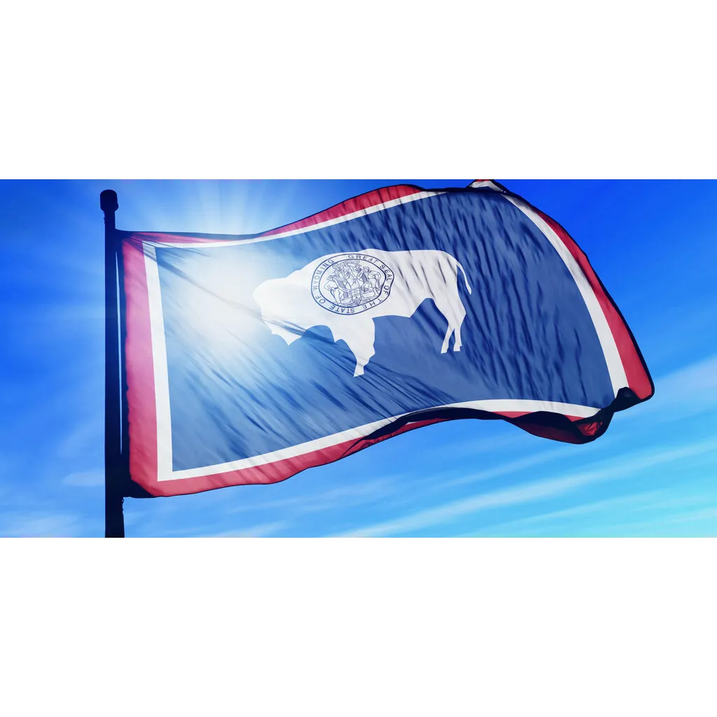 Wyoming’s Stablecoin Billed as Yield-Bearing Alternative to CBDC Control Wyoming’s Stablecoin Billed as Yield-Bearing Alternative to CBDC Control