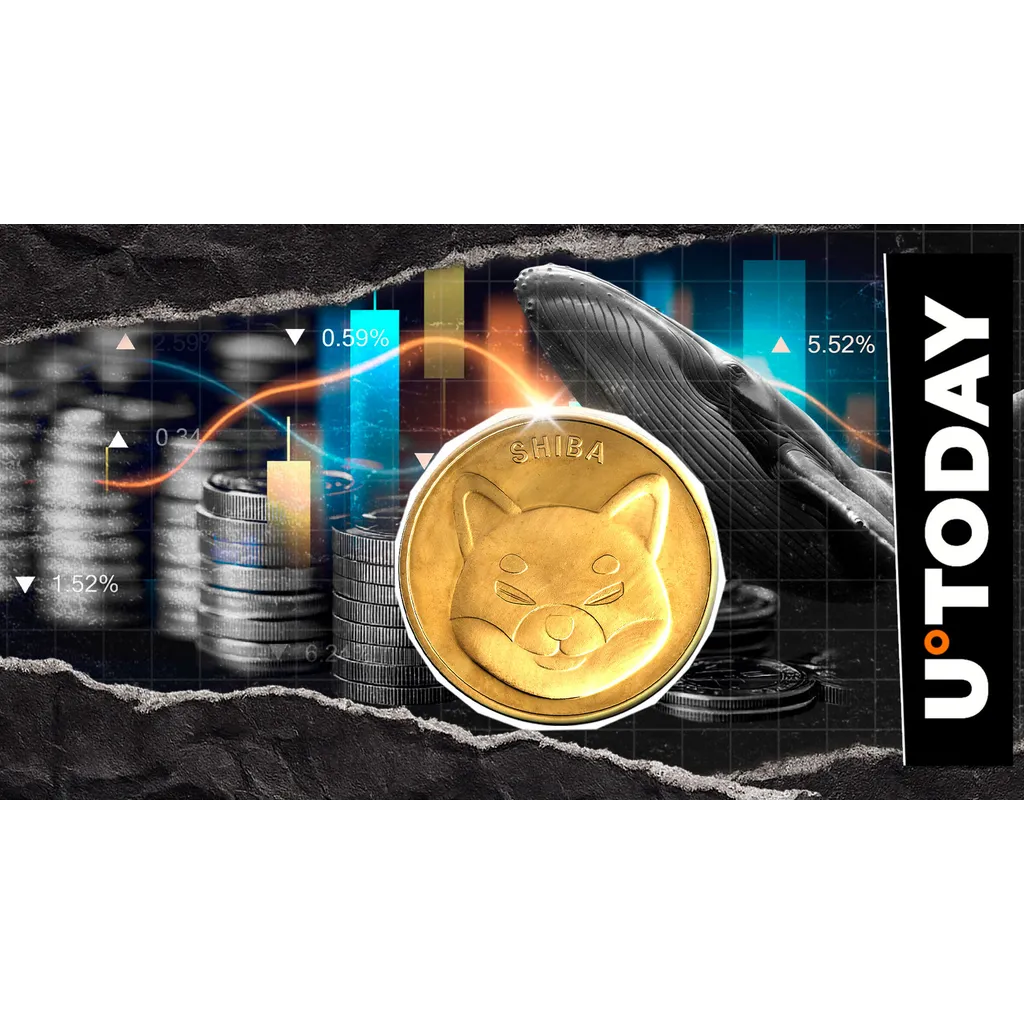 Shiba Inu token surges 70 percent in 48 hours raising questions Shiba Inu token surges 70 percent in 48 hours raising questions